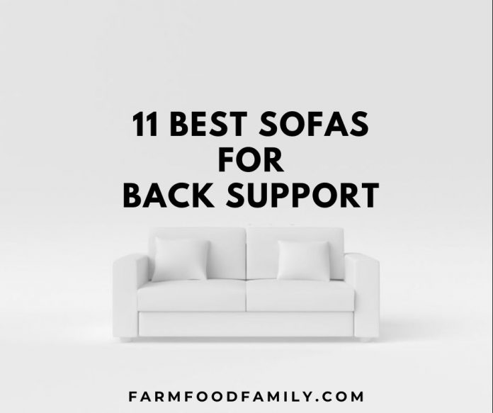 Best Couch For Back Pain 2022